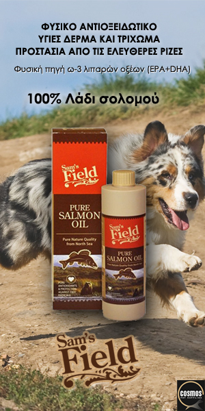 Sam's Field