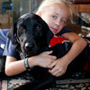 stella and black labrador