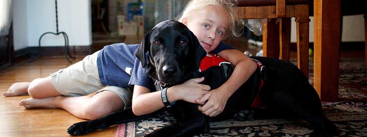 stella and black labrador