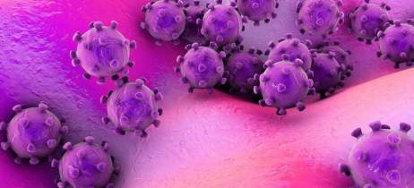 Λύσσα | Προστάτεψε τον σκύλο και την οικογένεια σου