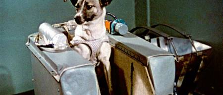 Laika - Ο σκύλος που δολοφονήθηκε για την εξερεύνηση του διαστήματος