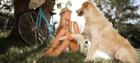 Ουρολοίμωξη στον σκύλο - Συμπτώματα και Θεραπεία