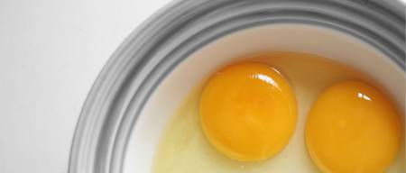 Πόσο ωφέλιμα είναι τελικά τα ωμά αυγά για του σκύλο μου;