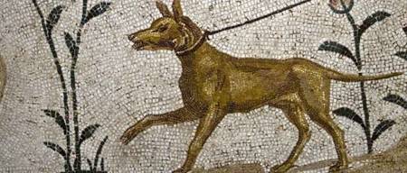 10 αρχαία ονόματα για σκύλους από την ελληνική μυθολογία