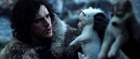 «Ευθύνεται» το Game Of Thrones  για την αύξηση «Λυκόμορφων»  αδέσποτων σκύλων;