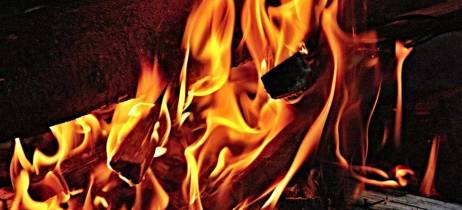 Πρώτες βοήθειες σκύλου | Έγκαυμα