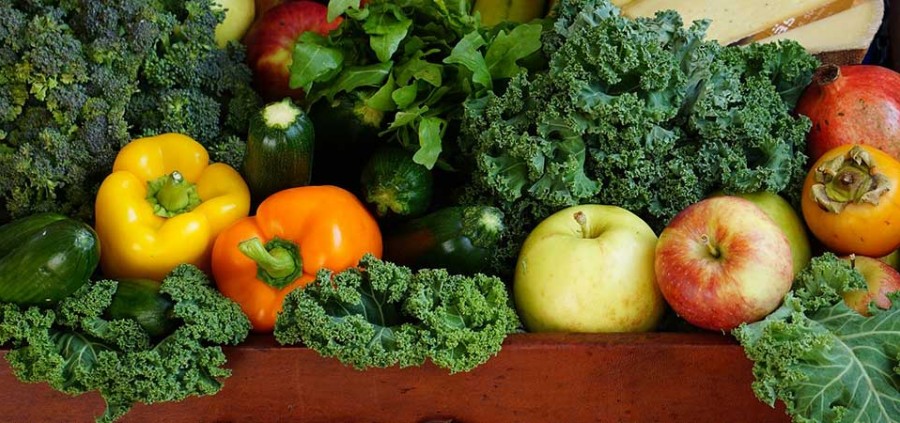 Φρούτα και λαχανικά για το σκύλο σας. Ποια επιτρέπονται
