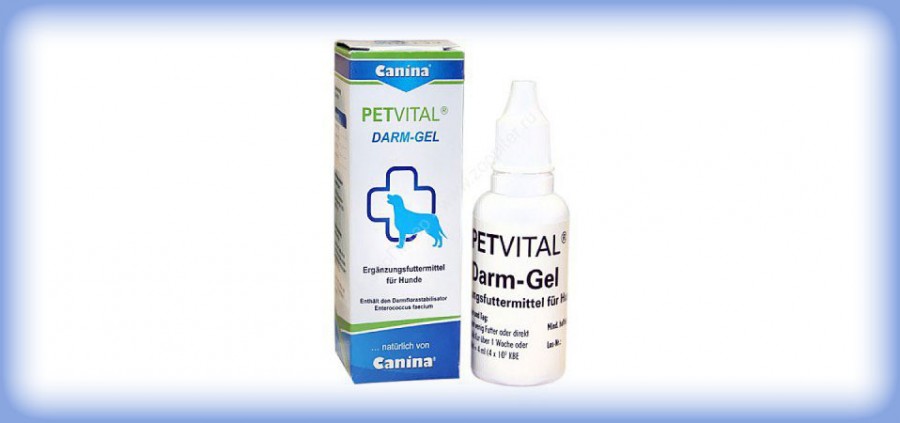 PETVITAL DARM-GEL - Βελτιώστε την υγεία του σκύλου σας με ωφέλιμα βακτήρια